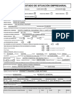 Estado de Situacion Empresarial
