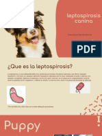 Leptospirosis Cania Expo DHPC