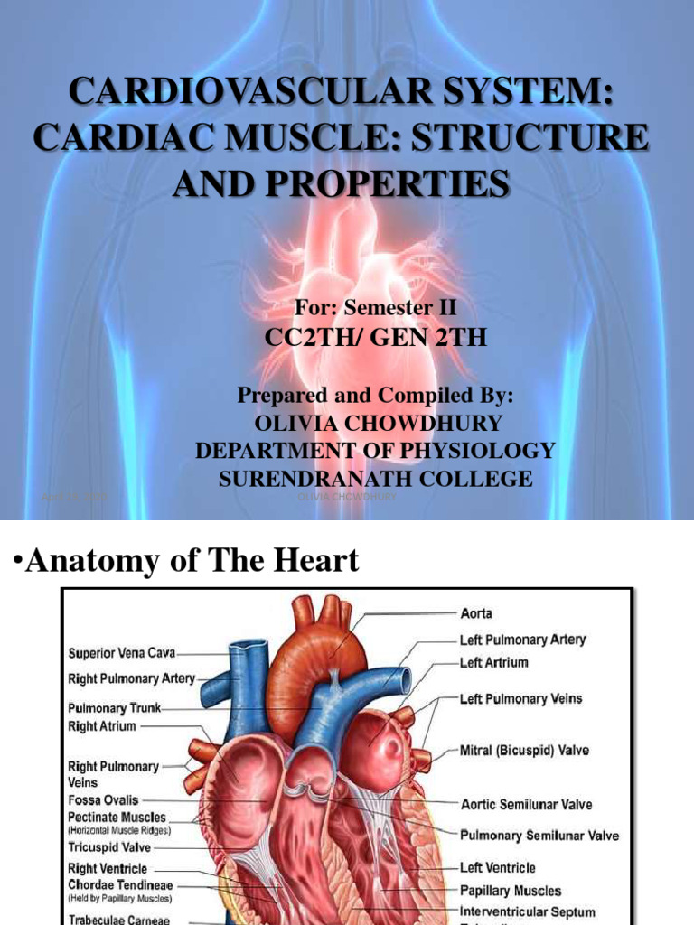 Anatomy intelligence overview