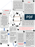 Administracion Publica y Privada