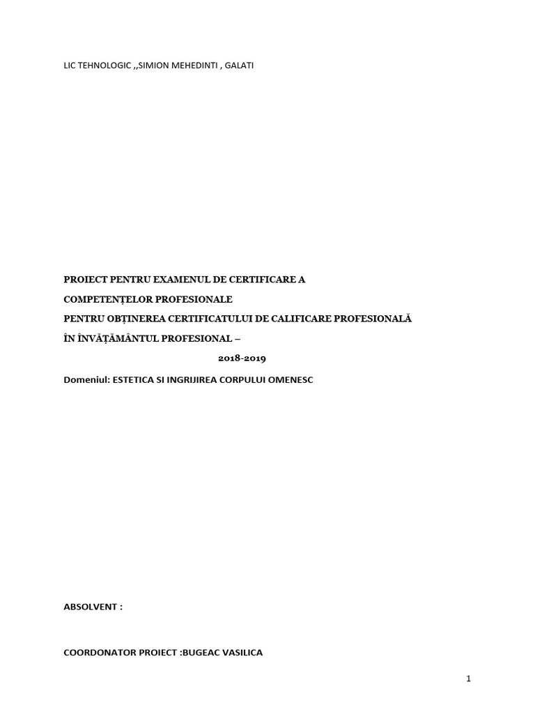 12.teh Depig.i Parului Radu C | PDF