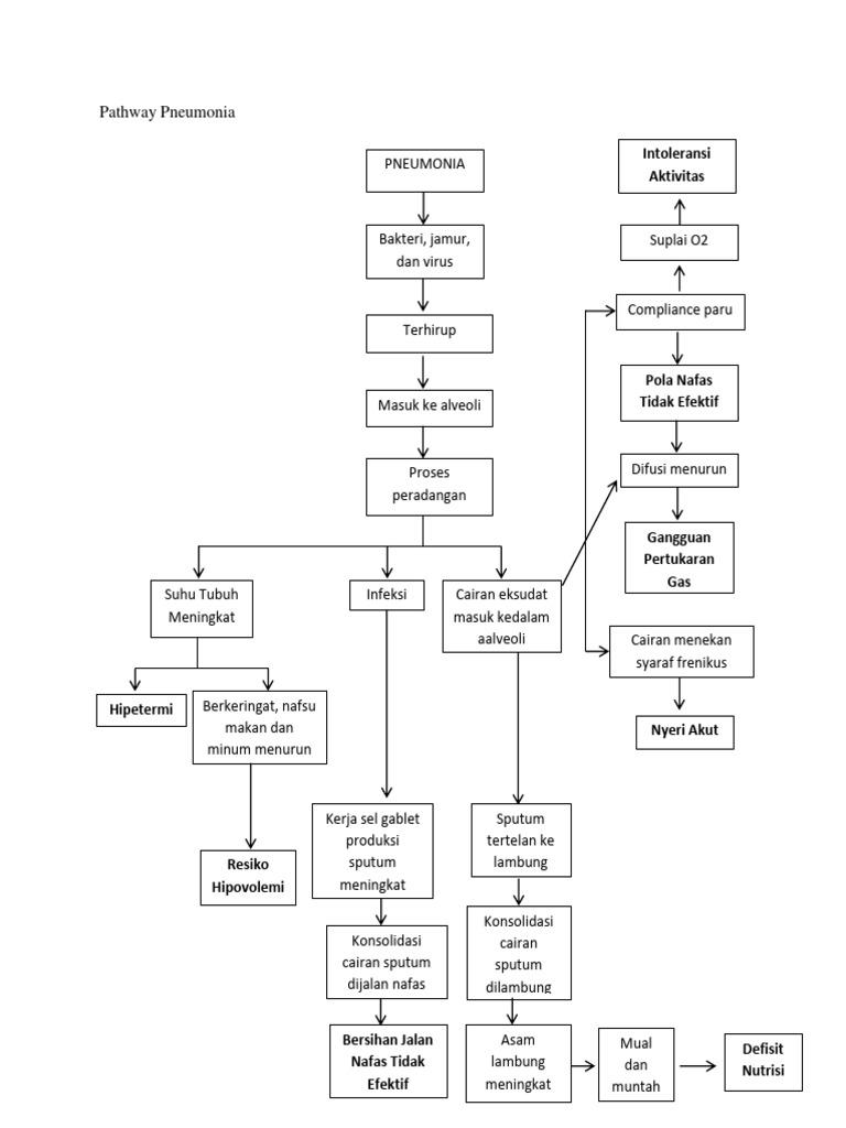 Pathway pneumonia pdf