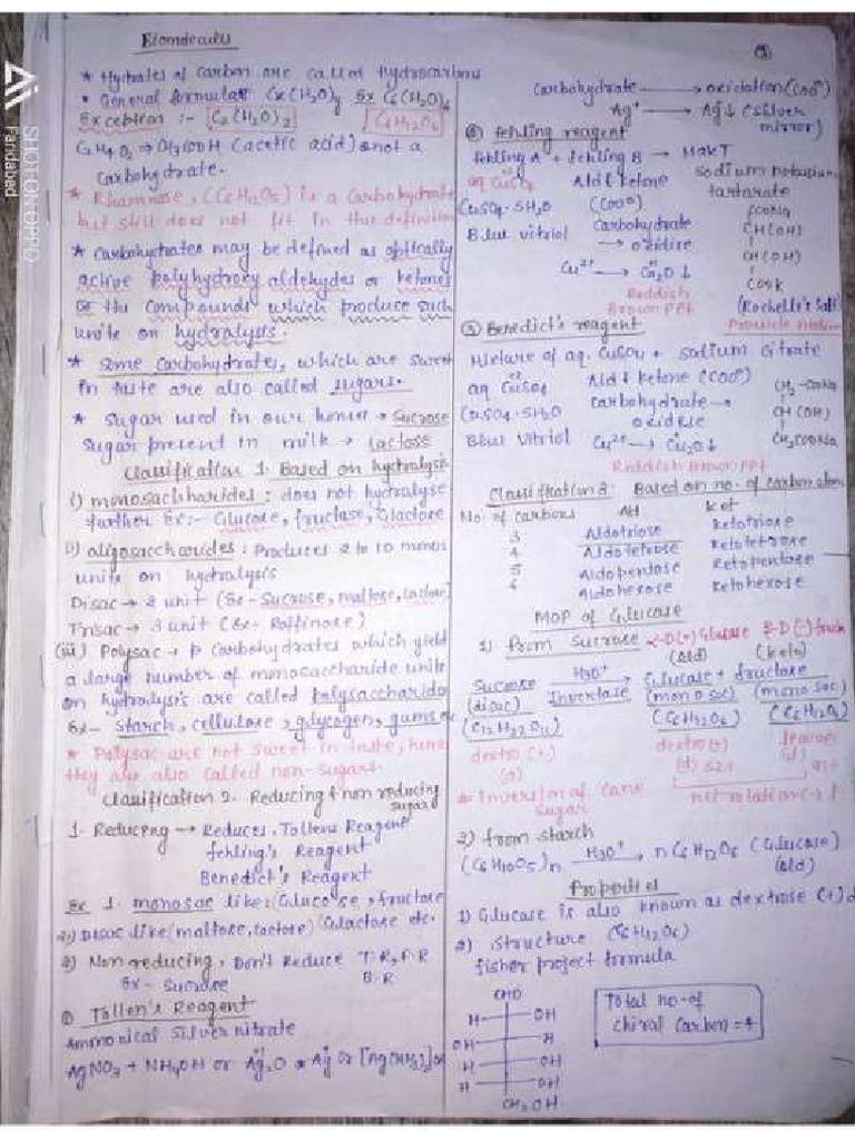 Biomolecules Short Notes PDF