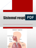 Sistemul Respirator