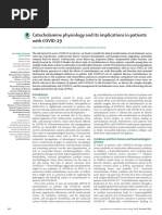 Catecholamine Physiology and Its Implications in P