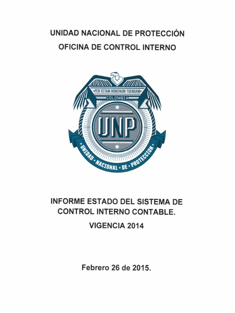 Informe Estado Del Sistema Control Interno Contable | PDF