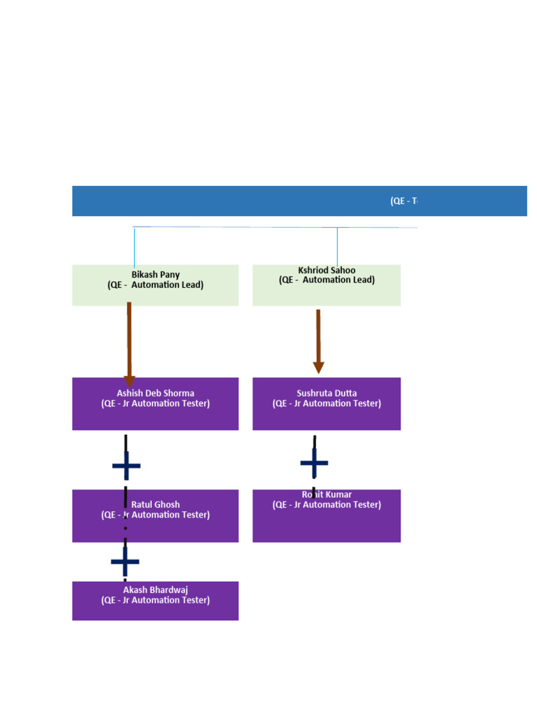 QE Team Structure and Roles Overview | PDF