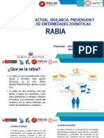 Rabia - Presentacion Seminario Integrador