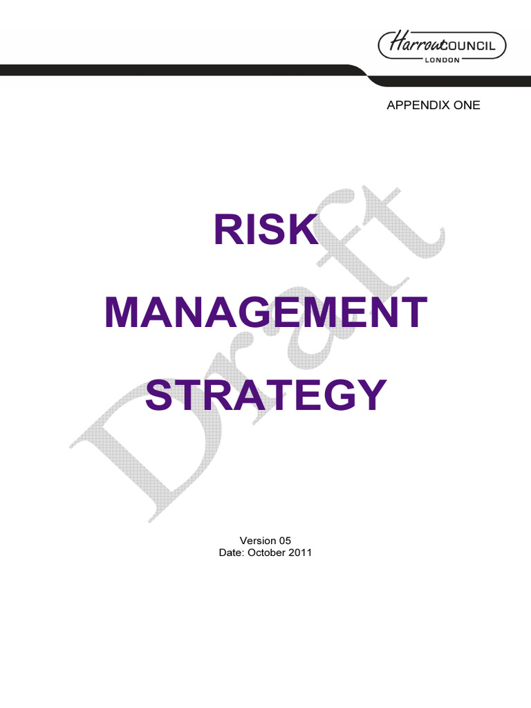 Risk Management Strategy | PDF | Risk Management | Risk