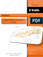 Sujets d'Examens d'Anatomie Corrigés 2