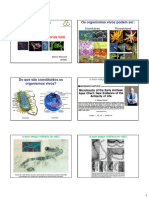 Aula 04 - A Célula - Unidade Funcional Da Vida