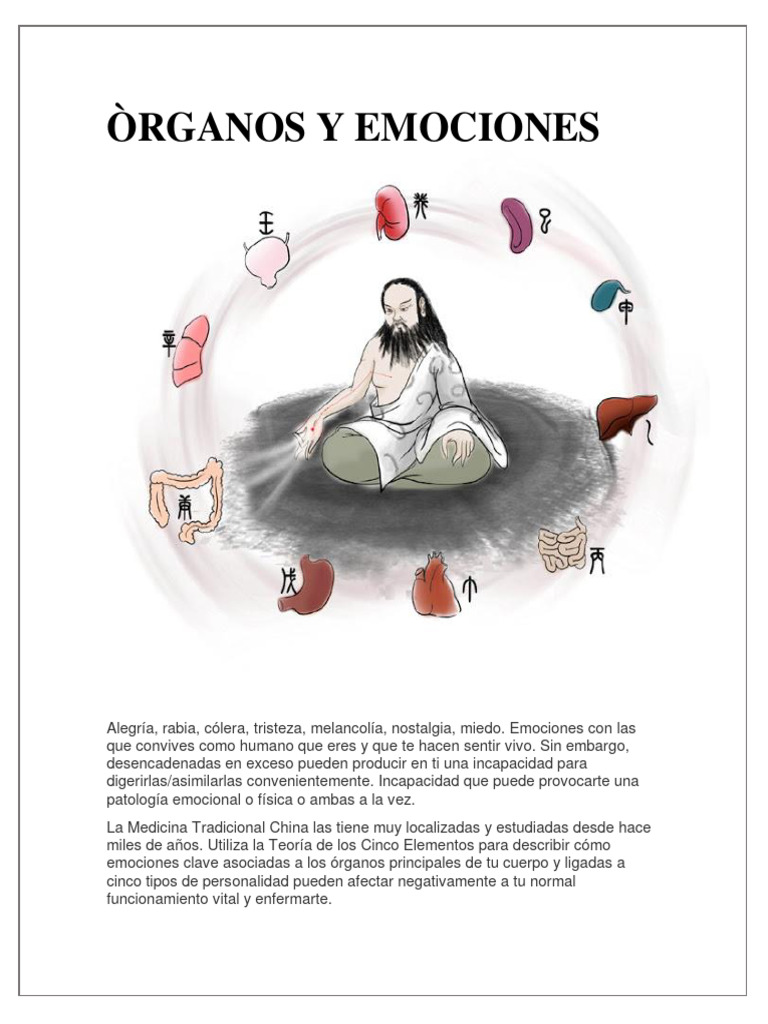 Òrganos y Emociones | PDF | Las emociones | Ira