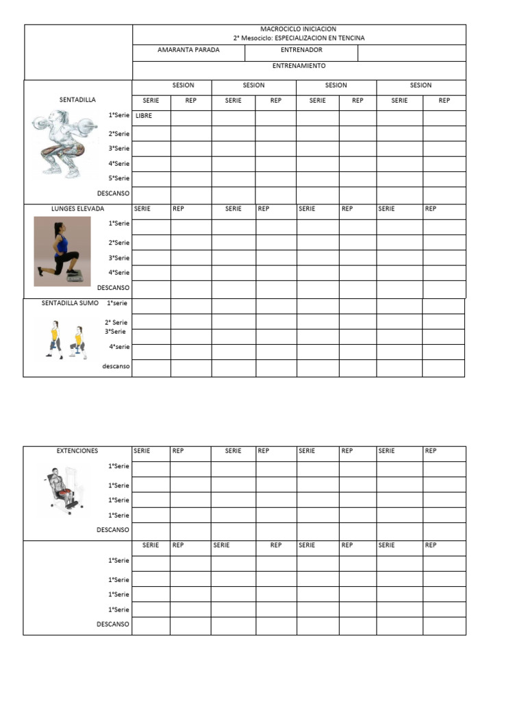 Macrociclo Iniciacion Pdf