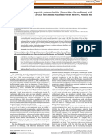 Ecological Notes - Rhinopetitia Potamorhachia