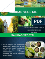 Sanidad Vegetal 27-07-2023