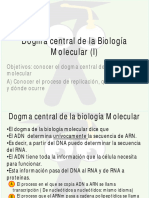 01 Replicación y Transcripcion