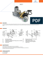ng1 CNG