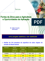 Palestra Fórum Zinco