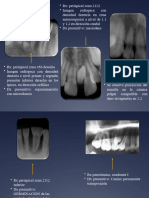 Radiología Práctica Odontología