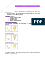 Zonas Edentulas en El Diseño de PPF Multiple - Ponticos, Diseño y Conectores