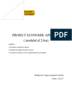 Proiect Economie Aplicată