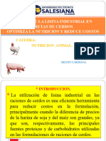 Uso de Lisina Industrial en Las Dietas de Cerdos