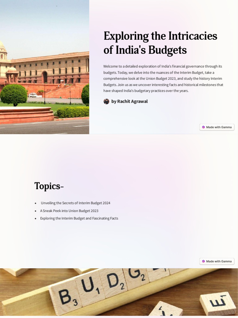 Interim Budget 2025 PDF Economies