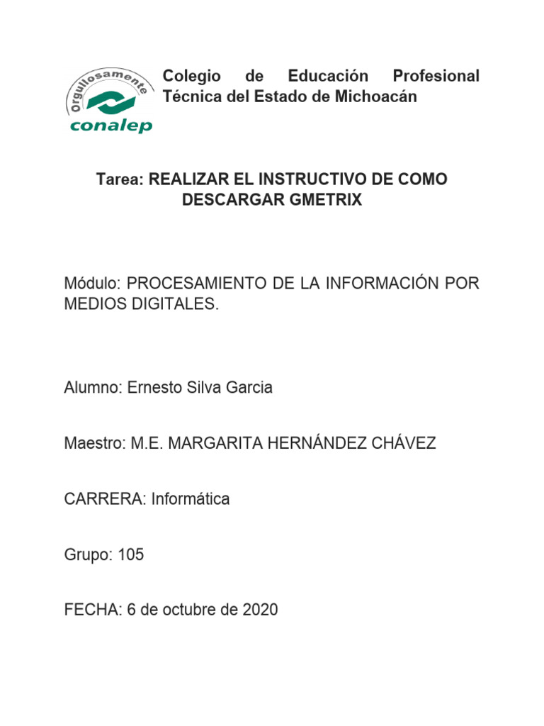 Instructivo gmetrix pdf inform tica software