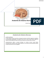 Aula 5 - Sistema Nervoso Central_074218