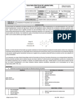 Práctica Screening Flavonoides