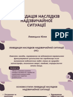 Ліквідація наслідків надзвичайної ситуації