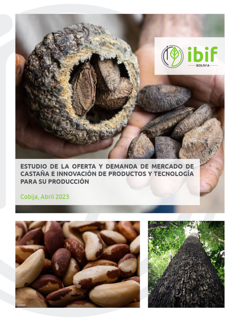 Oferta y demanda de castaña en Bolivia | PDF | Mercado (economía) | Bolivia