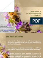 Abejas y Biodiversidad en El Meta 2022