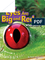 My_Eyes_are_Big_and_Red