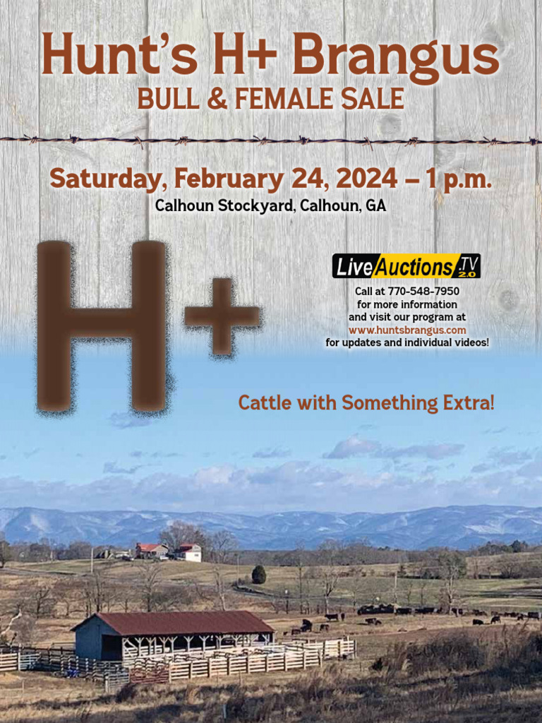 hunts brangus 2024 web 2 | PDF | Cattle | Auction