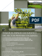1 Agricultura España2024 Clases
