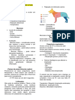 Avaliação Das Funções Vitais Semiologia