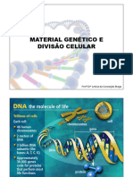 Aula2-Material Genético e Divisão Celular