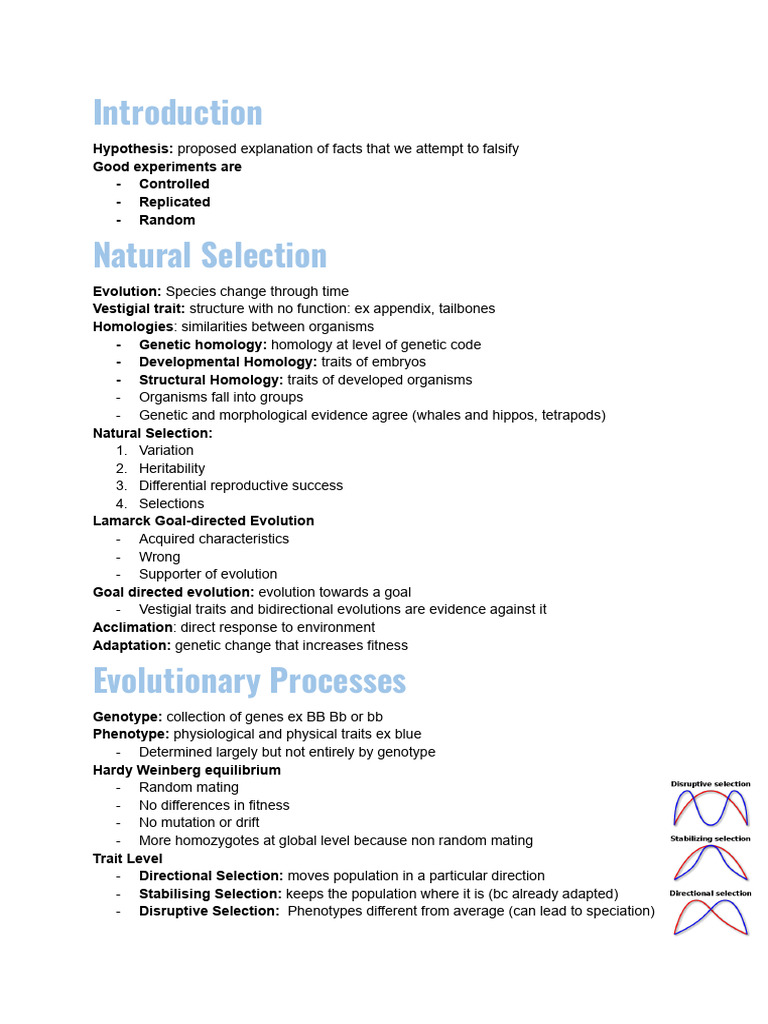 Biology 1M03 Exam Review | PDF | Natural Selection | Evolution