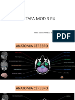 7 ETAPA MOD 3 P4 - Aula4