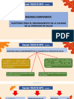 Segundo Componente Sogc Auditoria para El Mejoramiento de La Calidad