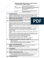 Formato N°5 de TDR para La Contratación de Servicios Asistente