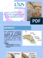 3er Ciclo Histologia 6ta Semana