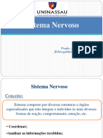 Anatomia-Sistema Nervoso