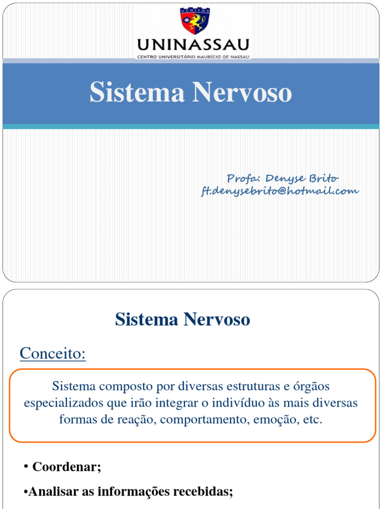Anatomia Sistema Nervoso Pdf Sistema Nervoso Central Cérebro