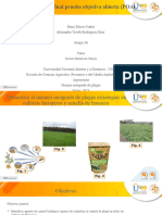 Tarea 6 - Aporte Individual - Alexandra Rodriguez. Grupo 36.