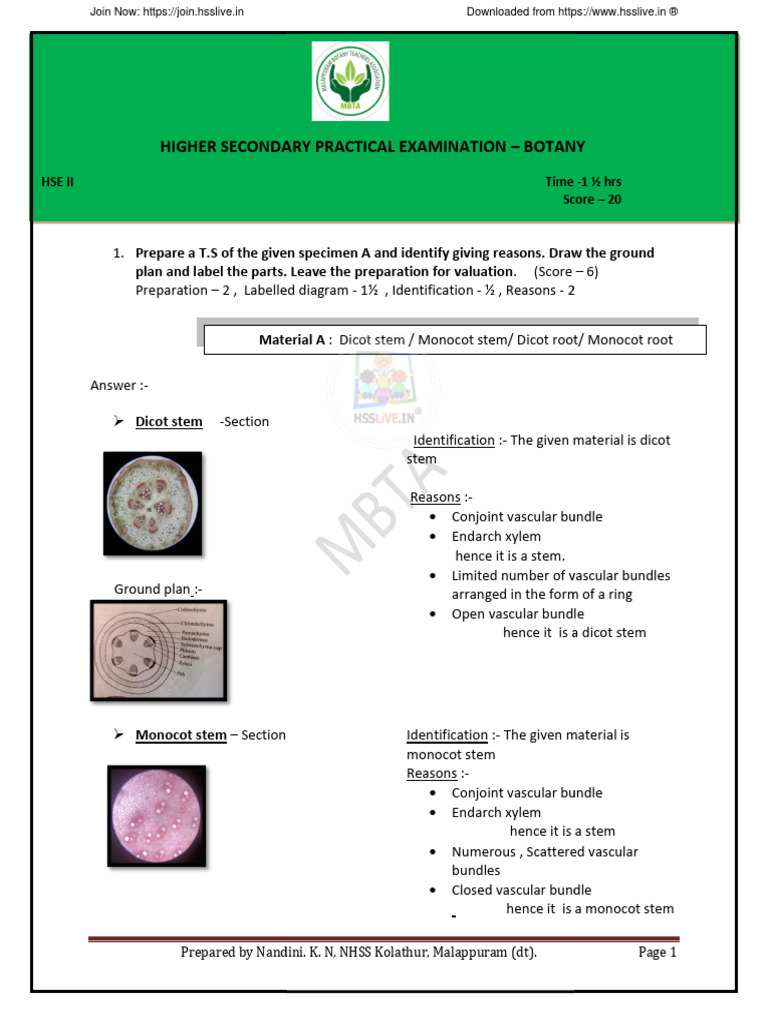 Hsslive - Botany Practical Note - 2024 | PDF | Plant Stem | Branches Of ...