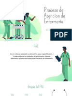 Proceso de Atencion de Enfermeria: M.E Gerardo Flores Chavez