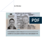 Pasaporte Pablo Méndez