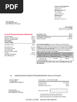 Bank of America Bank statement